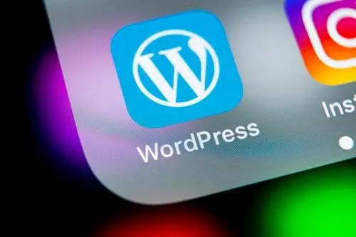 宁波wordpress建站