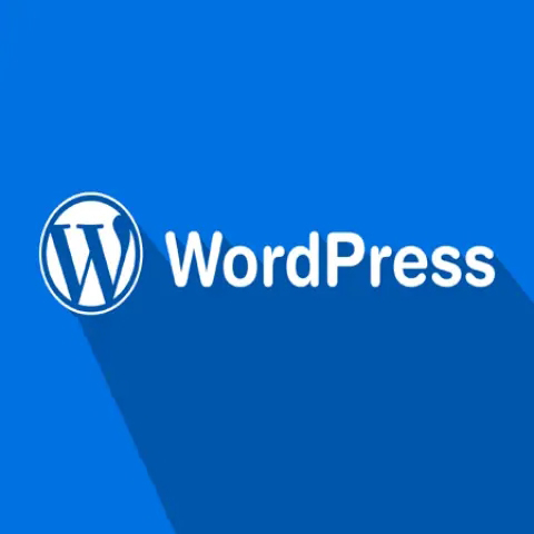 WordPress做网站需要多久？