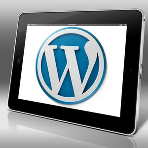 WordPress-1.jpg