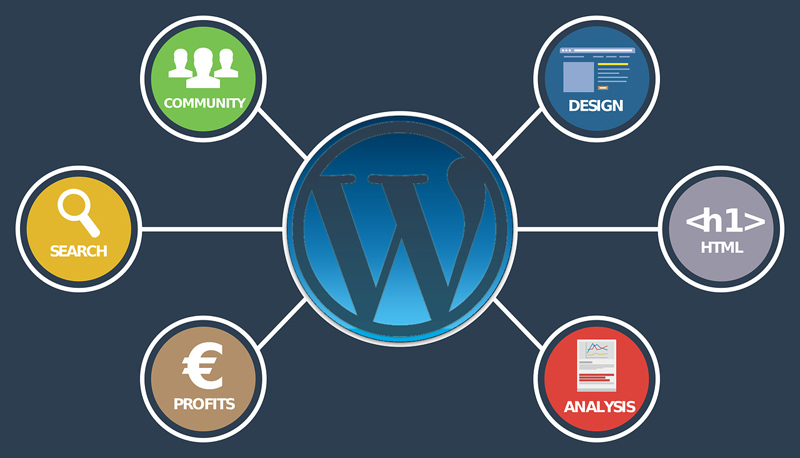 宁波WordPress建站