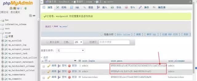 宁波WordPress建站