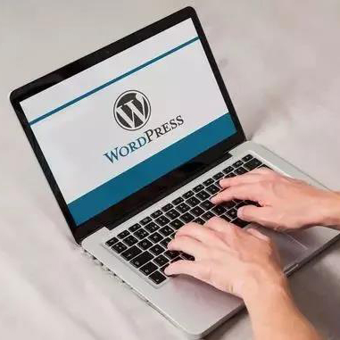 宁波WordPress网站：推荐一款实用性高的WordPress插件-Simple URLs