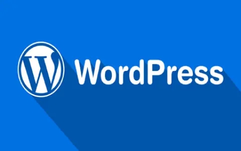 宁波WordPress建站